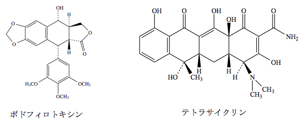 解説画像